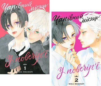 Комплект книг Чарівний місяць у повечір'ї (2 кн.). Автор - Міка Ямаморі (Nasha idea) 00000033555 фото