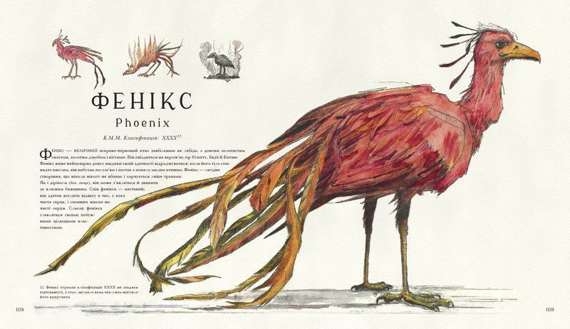 Книга Фантастичні звірі і де їх шукати. Ілюстроване видання. Автор - Дж.Ролінґ (А-БА-БА-ГА-ЛА-МА-ГА) 00000022922 фото