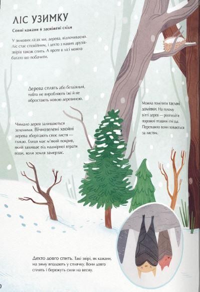 Книга Таємне життя дерев. Автор - Мойра Баттерфілд (КМ-Букс) 00000016574 фото