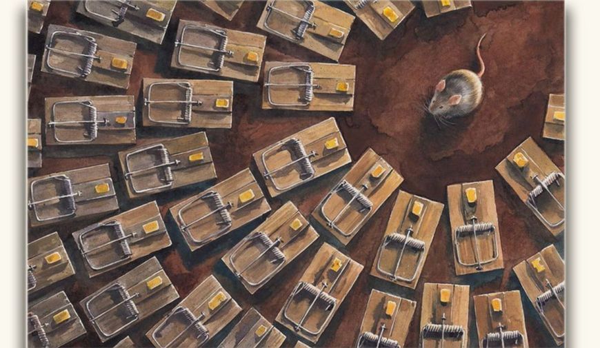 Комплект книг Неймовірні пригоди Мишеняти (3 кн.). Автор - Торбен Кульман (ВСЛ) 00000016963 фото