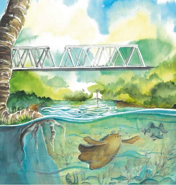 Книга Оммм. Дух ірпінського лісу. Автор - Таша Торба (Чорні вівці) 00000016918 фото