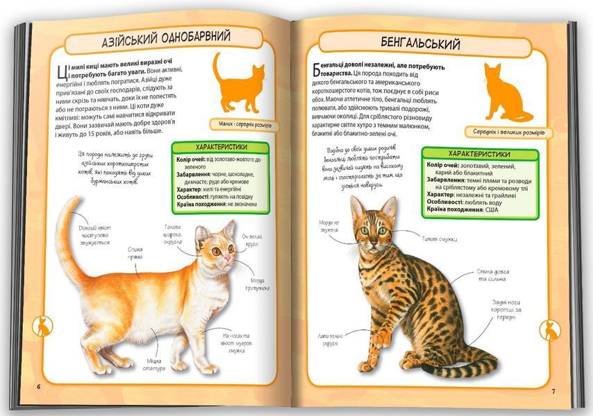 Книга Коти. 50 найвідоміших видів: міні-енциклопедія (КМ-Букс) 00000015239 фото