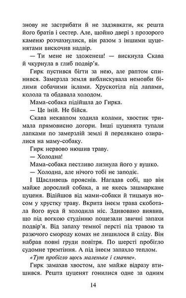 Книга Зграя. Безкрає озеро. Книга 5. Автор - Ерін Гантер (АССА) 00000023319 фото