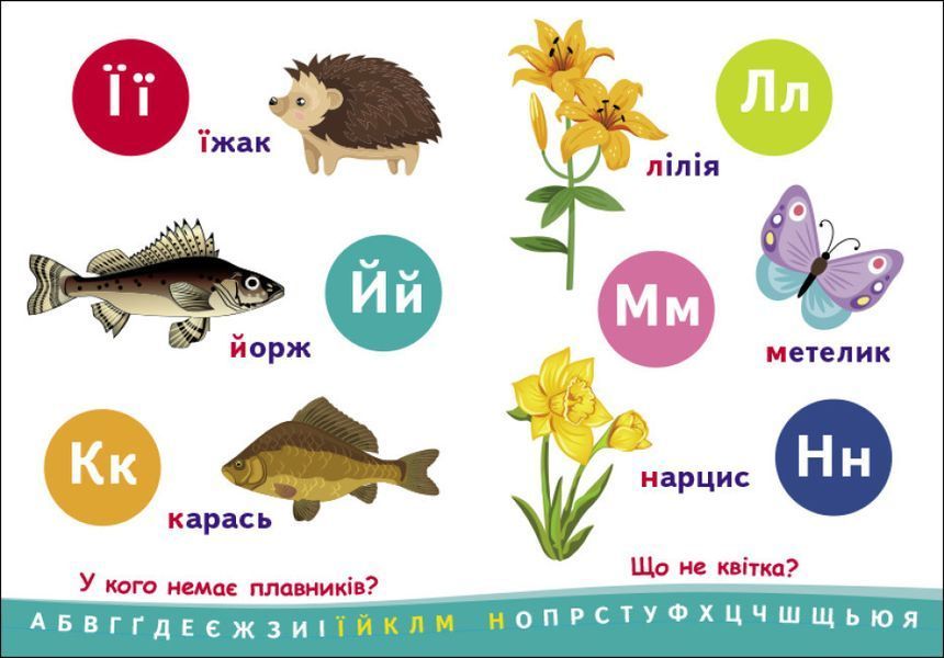 Книга Абетка. Пізнавальчик. Автор - Моісеєнко С.В. (Ранок) 00000003435 фото