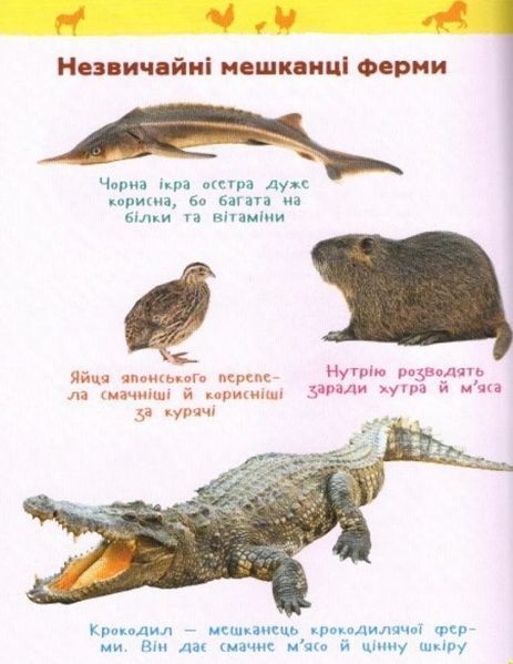 Книга Тварини ферми. Моя перша енциклопедія. Автор - Ірина Травіна (Перо) 00000015478 фото