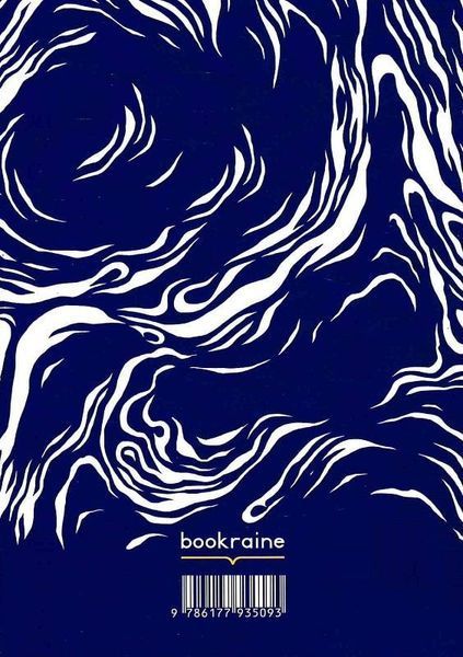 Книга Багатоголосся. Автор - Богдан Печеняк (Bookraine Publishing House) 00000011423 фото