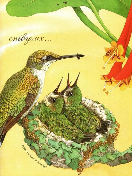 Книга Гніздо галасливе. Автор - Діана Гуттс Астон (Богдан) (суперобкладинка) 00000015332 фото