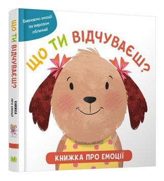 Книга Що ти відчуваєш? Книжка про емоції для малюків. (КМ-Букс) 00000007172 фото
