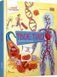 Книга Твоє тіло. Цікаве всередині. Автор - Барзотті Елеонора (Талант) 00000015182 фото 1