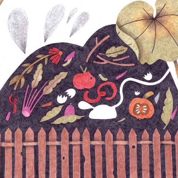 Книга Франтішек із компосту. Автор - Сімона Чехова (Апріорі) 00000016407 фото