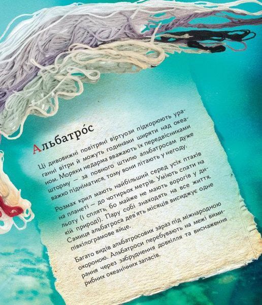 Книга ПтахАбетка. Українські пернаті. Автор - Ірена Панаріна (РАНОК) 00000015482 фото