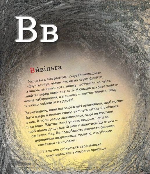 Книга ПтахАбетка. Українські пернаті. Автор - Ірена Панаріна (РАНОК) 00000015482 фото