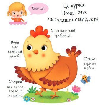 Книга Хто це? Кури. Автор - Емілія Бомон, Наталя Беліно (Богдан) 00000006684 фото