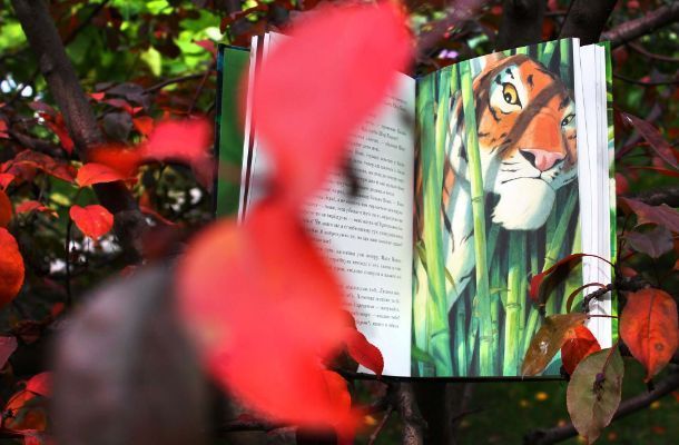Книга Книга джунглів (ілюстрації Квентіна Ґребана). Автор - Редьярд Кіплінг (Nebo) 00000017597 фото