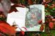 Книга Книга джунглів (ілюстрації Квентіна Ґребана). Автор - Редьярд Кіплінг (Nebo) 00000017597 фото 9