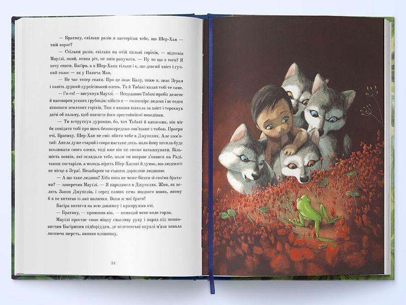 Книга Книга джунглів (ілюстрації Квентіна Ґребана). Автор - Редьярд Кіплінг (Nebo) 00000017597 фото
