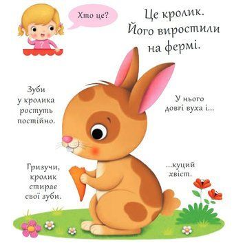Книга Хто це? Кролики. Автор - Емілія Бомон, Наталя Беліно (Богдан) 00000006682 фото