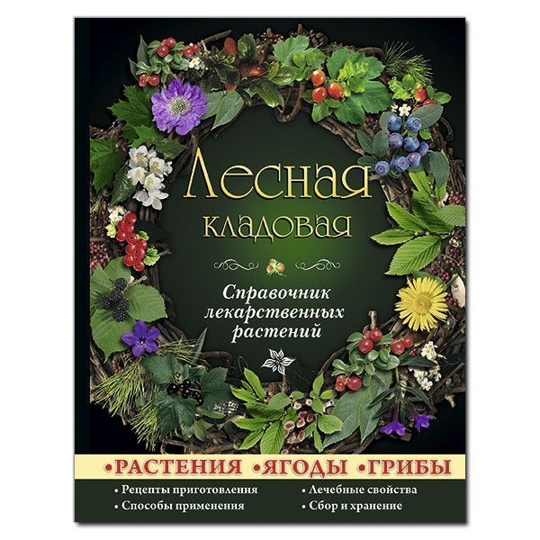 Книга Лесная кладовая (Глорія) 00000019342 фото