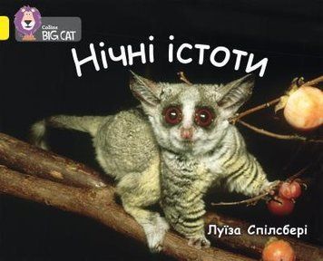 Книга Нічні істоти. Автор - Луїза Спілсбері (КМ-Букс) 00000002364 фото