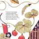 Книга Франтішек із компосту. Бджоляр Йожко (2 кн.). Автор - Сімона Чехова (Апріорі) 00000016643 фото 3