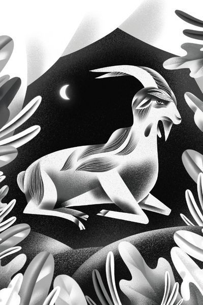 Книга Життя та незвичайні й дивовижні пригоди Робінзона Крузо. Відомі та незвідані. Автор - Д. Дефо 00000017727 фото