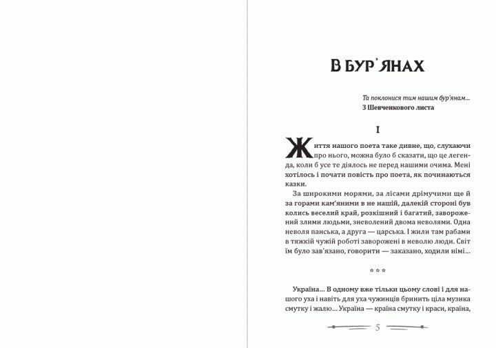 Книга В бур&rsquo;янах. Приблуда. Автор - Степан Васильченко (Андронум) 00000011231 фото