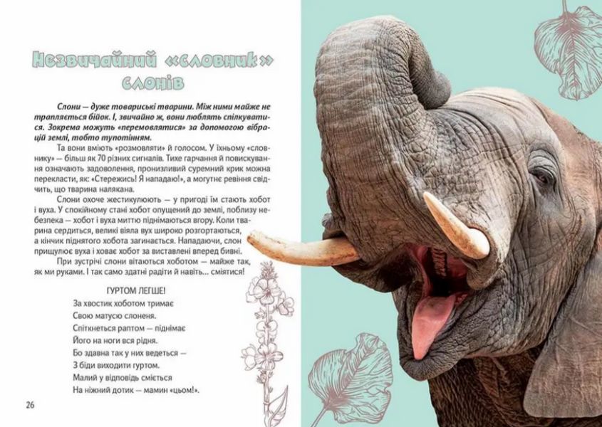 Книга Вусохвості й лапокрилі. Читанка про тварин. Автор - Володимир Верховень (Талант) 00000015557 фото