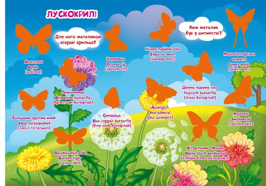 Книга Велика книжка. Розвиваючі наліпки. Розумні завдання. Комахи та павукоподібні (Crystal Book) 00000008426 фото