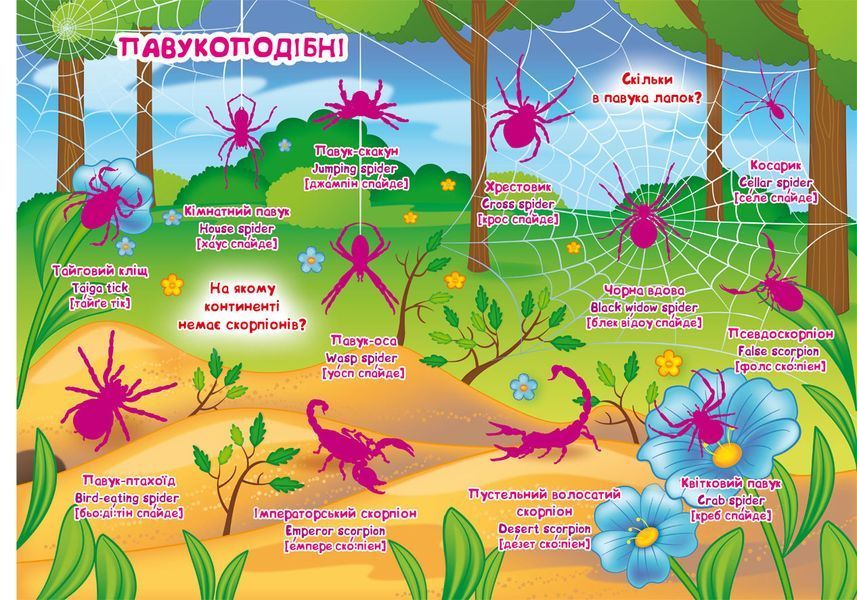 Книга Велика книжка. Розвиваючі наліпки. Розумні завдання. Комахи та павукоподібні (Crystal Book) 00000008426 фото