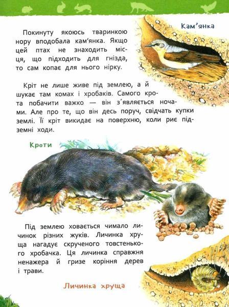 Книга У лісі. Моя перша енциклопедія. Автор - Лариса Клюшник (Перо) 00000015477 фото