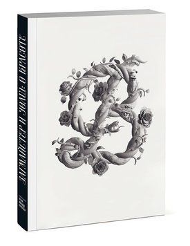 Книга Заґмайстер і Волш. Краса. Автор - Стефан Заґмайстер, Джессіка Волш (ArtHuss) 00000019442 фото