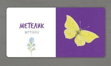 Книга Збери веселку. Комахи. Автор - Катерина Таберко (ARTBOOKS) (тв.) 00000002550 фото