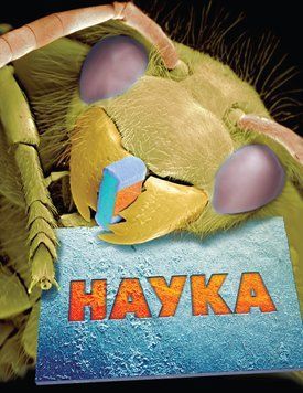 Книга Наука. Повна енциклопедія. (КМ-Букс) 00000015409 фото