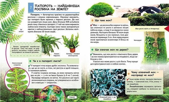 Книга Чомусикам про все на світі у запитаннях і відповідях. (Пегас) 00000015229 фото