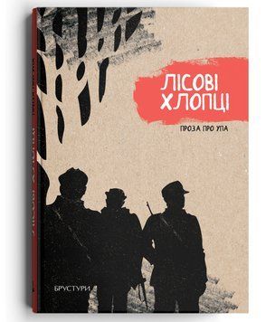 Книга Лісові хлопці. Автор - Юлія Лісовська, Галина Максимів, Тетяна Марченко (Discursus) 00000013260 фото