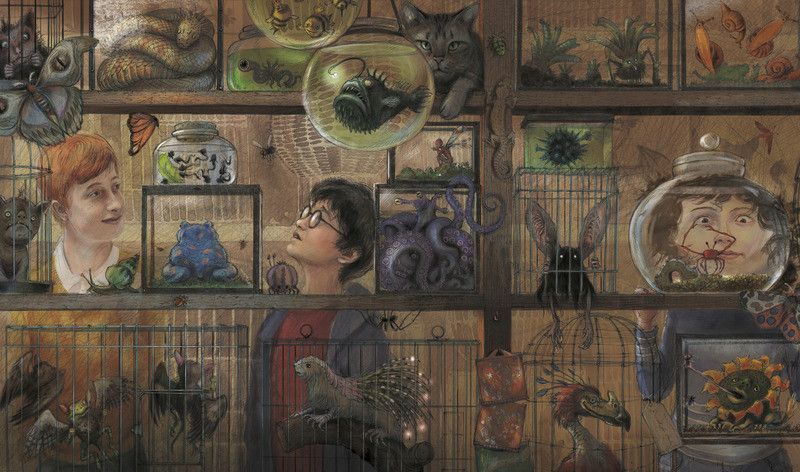 Книга Гаррі Поттер і в&rsquo;язень Азкабану. Ілюстроване видання. Автор - Джоан Ролінґ (А-БА-БА-ГА-ЛА-МА-Г 00000022924 фото