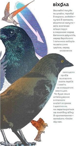 Книга Птахи в місті. Життя та виживання в бетонних джунглях. Автор - Наталія Атамась (Віхола) 00000021298 фото