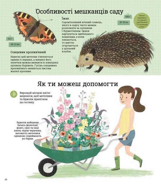 Книга Як допомогти їжачкові та захистити полярного ведмедя. Автор - Джес Френч (Каламар) 00000026297 фото